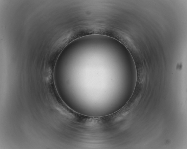 X0000091070077200708061310
