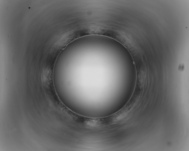 X0000091070079200708061310