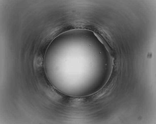 X0000091070081200708061310