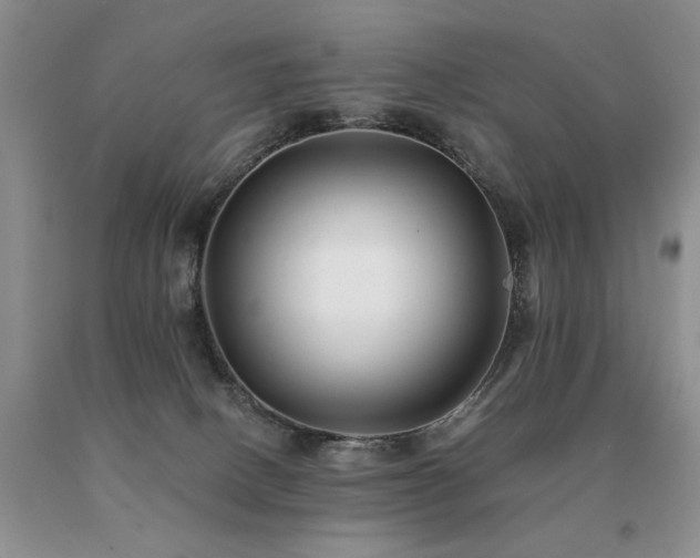 X0000091070082200708061310
