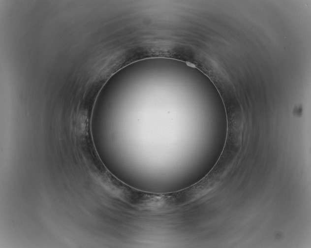 X0000091070083200708061310