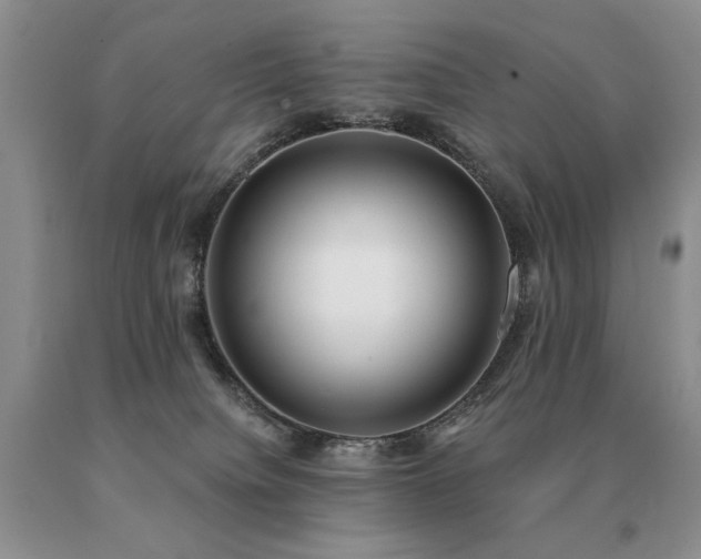 X0000091070084200708061310