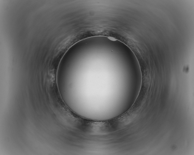 X0000091070085200708061310