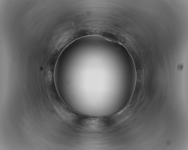 X0000091070086200708061310