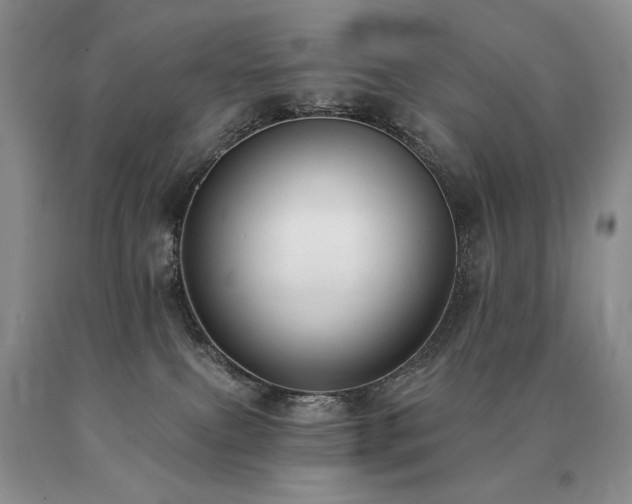 X0000091070087200708061310