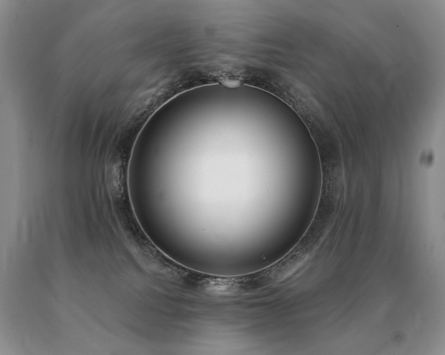 X0000091070088200708061310