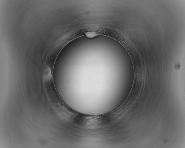 X0000091070089200708061310
