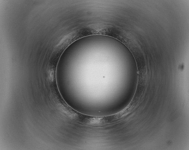 X0000091070090200708061310