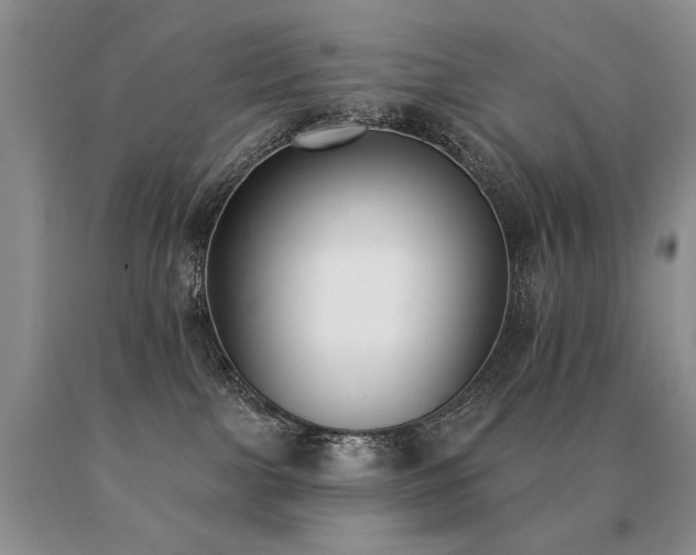 X0000091070091200708061310