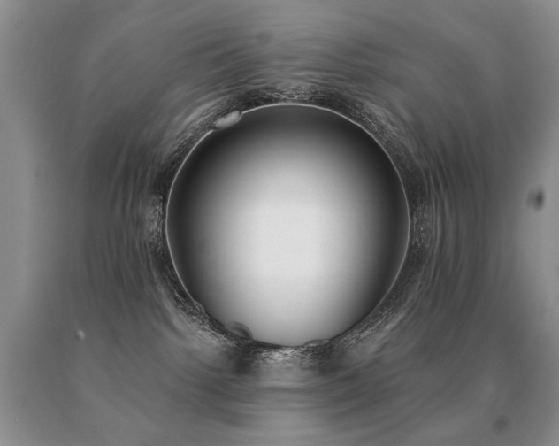 X0000091070092200708061310
