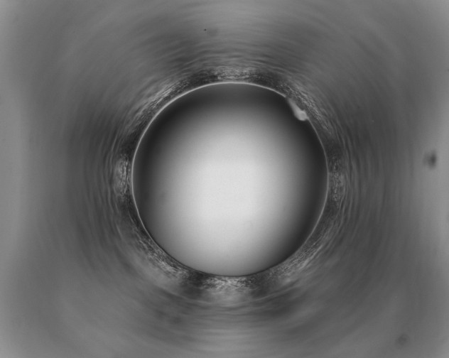X0000091070093200708061310