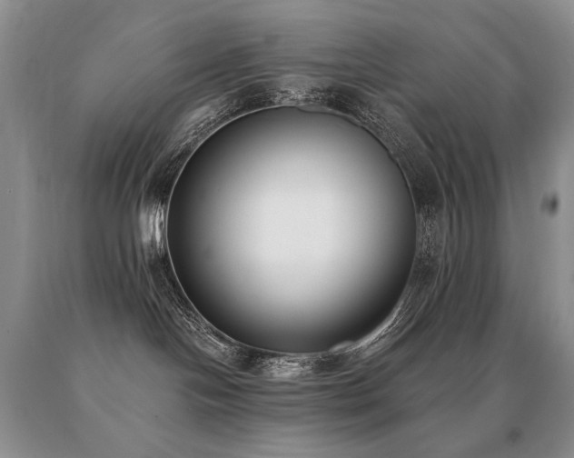 X0000091070094200708061310