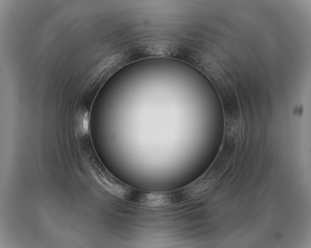 X0000091070095200708061310