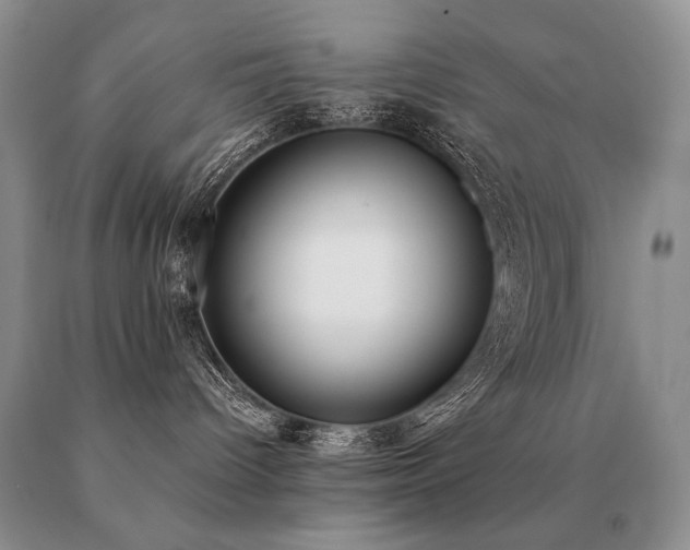 X0000091070096200708061310