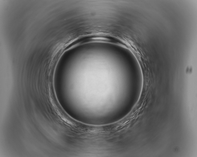 X0000091070097200708061309