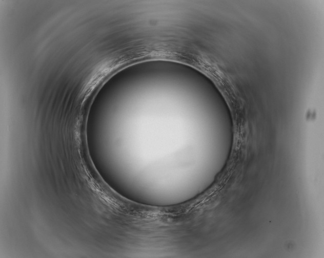 X0000091070098200708061309