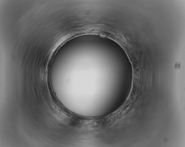 X0000091070100200708061309