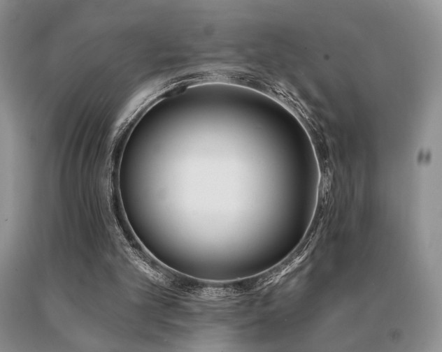 X0000091070101200708061309