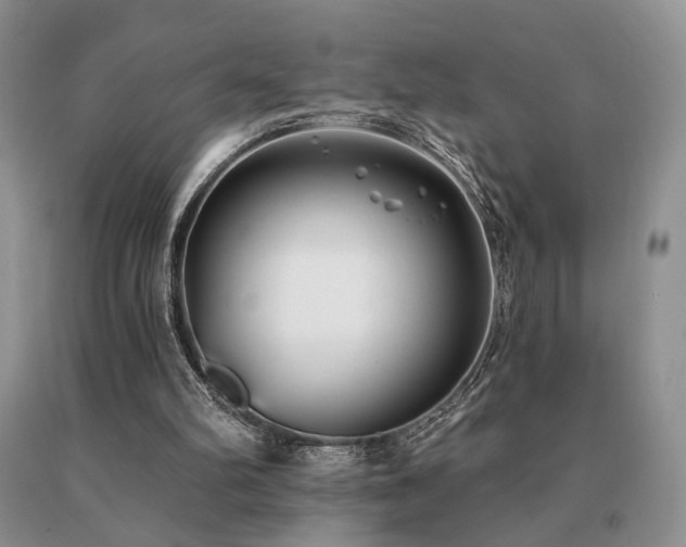 X0000091070102200708061309