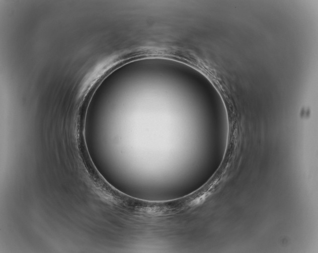 X0000091070103200708061309