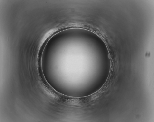 X0000091070104200708061309