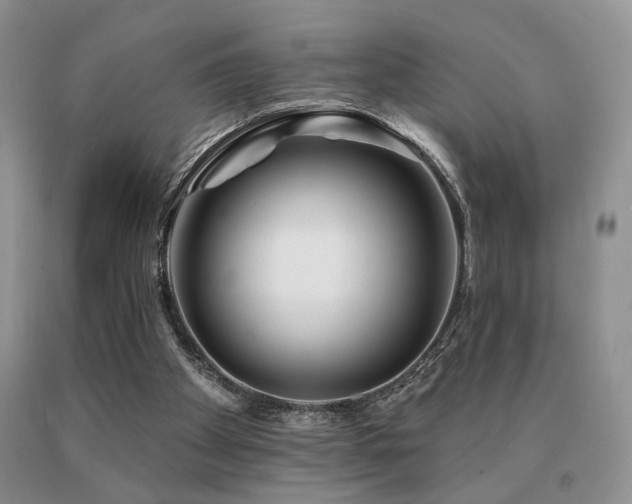 X0000091070105200708061309
