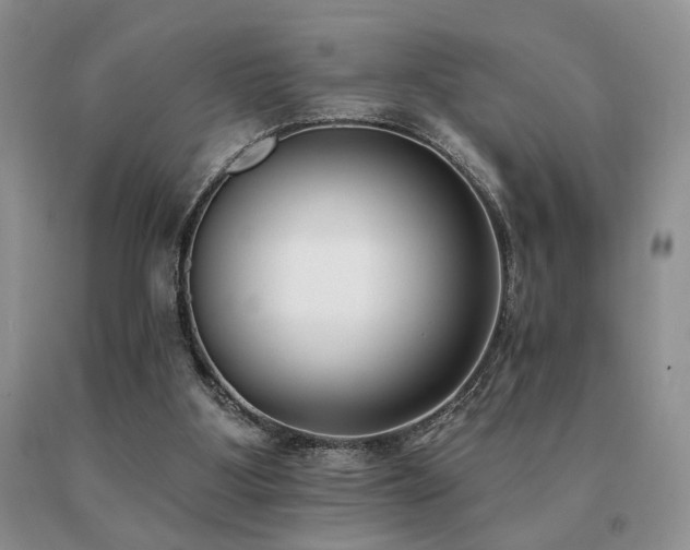 X0000091070107200708061309
