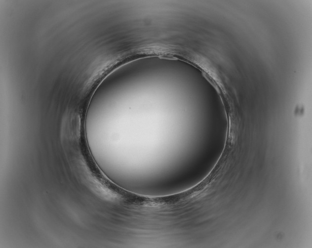 X0000091070109200708061309