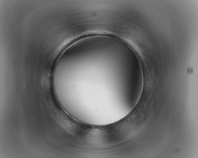 X0000091070111200708061309