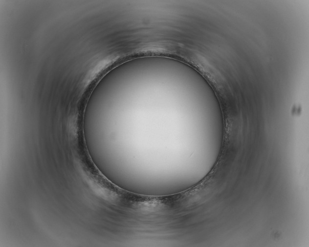 X0000091070112200708061309