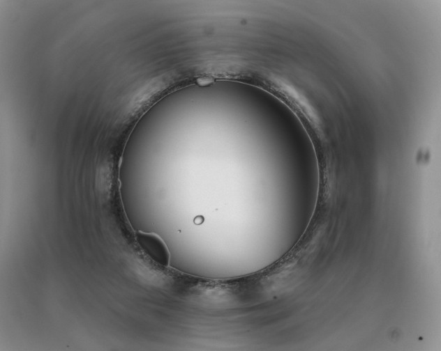 X0000091070113200708061309