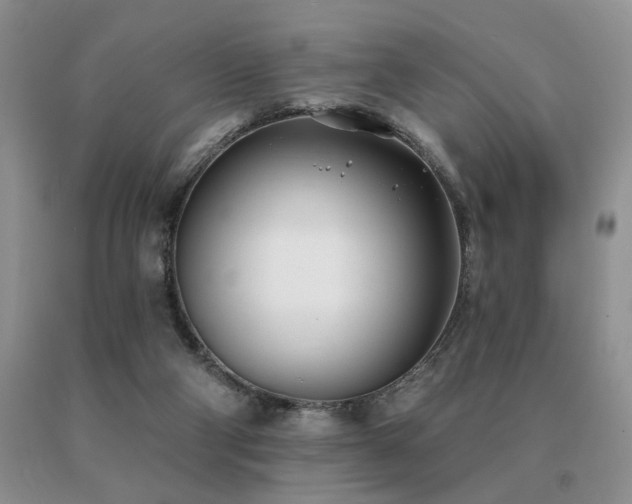 X0000091070114200708061309