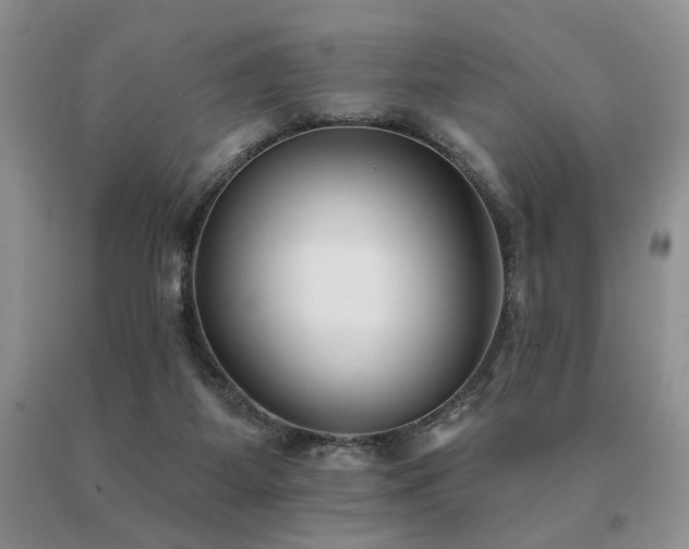 X0000091070115200708061309