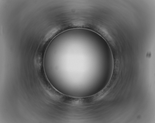 X0000091070116200708061309