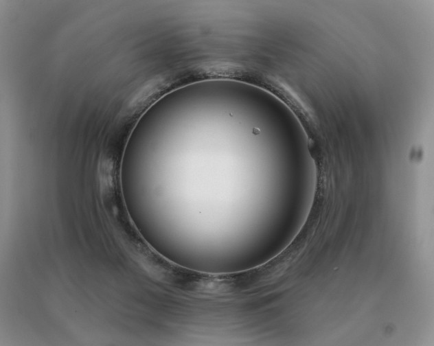 X0000091070117200708061309