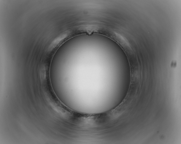 X0000091070120200708061309
