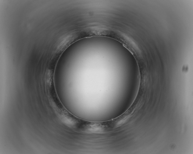 X0000091070121200708061309