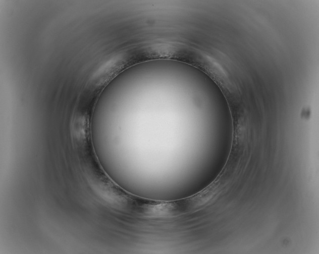 X0000091070122200708061309