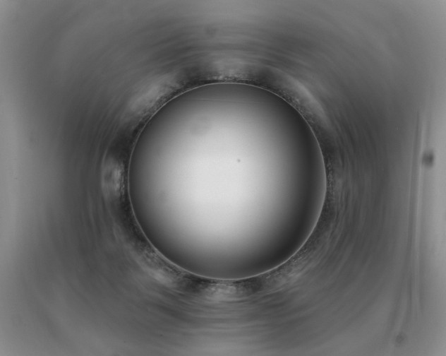 X0000091070123200708061309