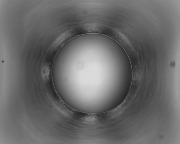 X0000091070124200708061309