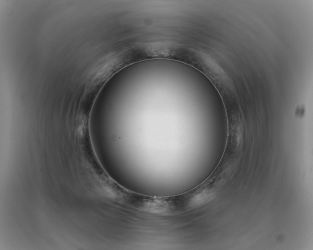 X0000091070125200708061309