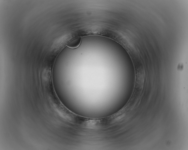X0000091070126200708061309