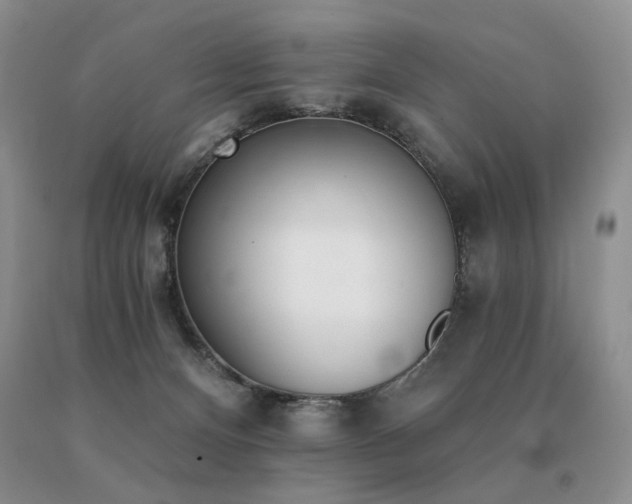 X0000091070128200708061309