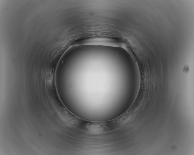 X0000091070129200708061309