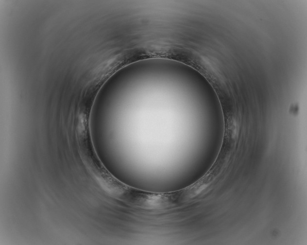 X0000091070130200708061309