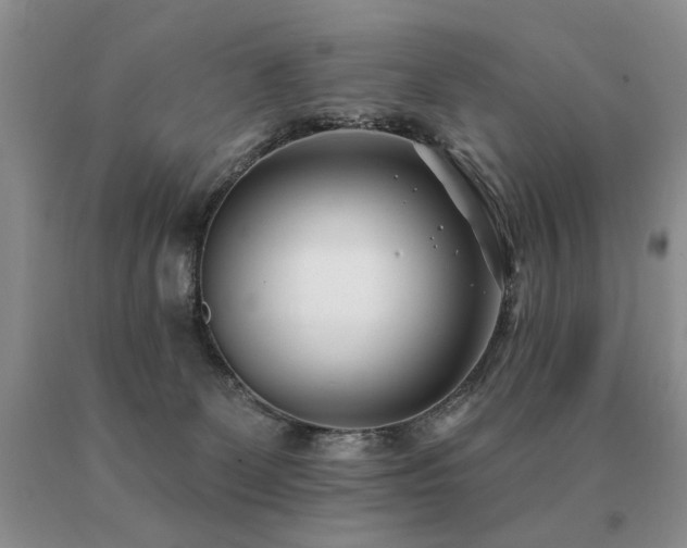 X0000091070131200708061309