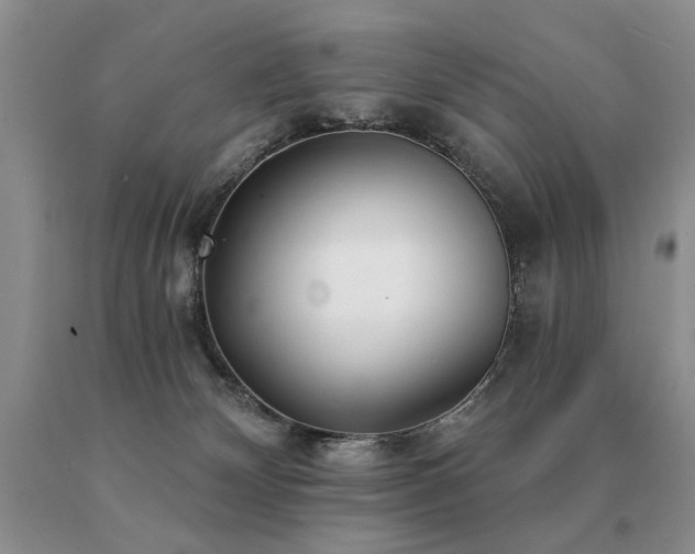 X0000091070132200708061309