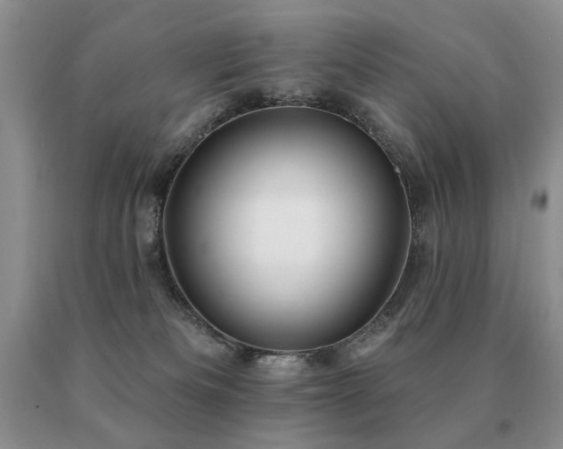 X0000091070133200708061309