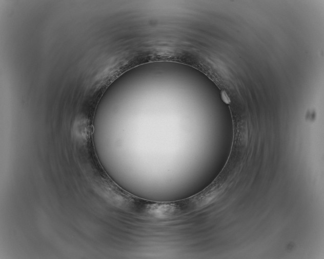 X0000091070135200708061309