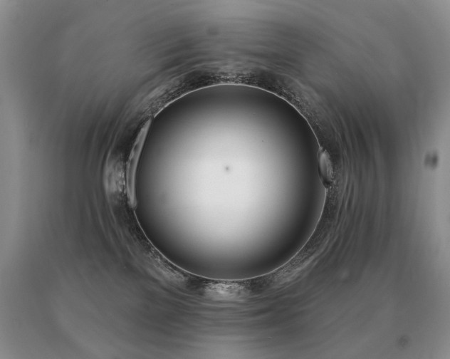 X0000091070137200708061309